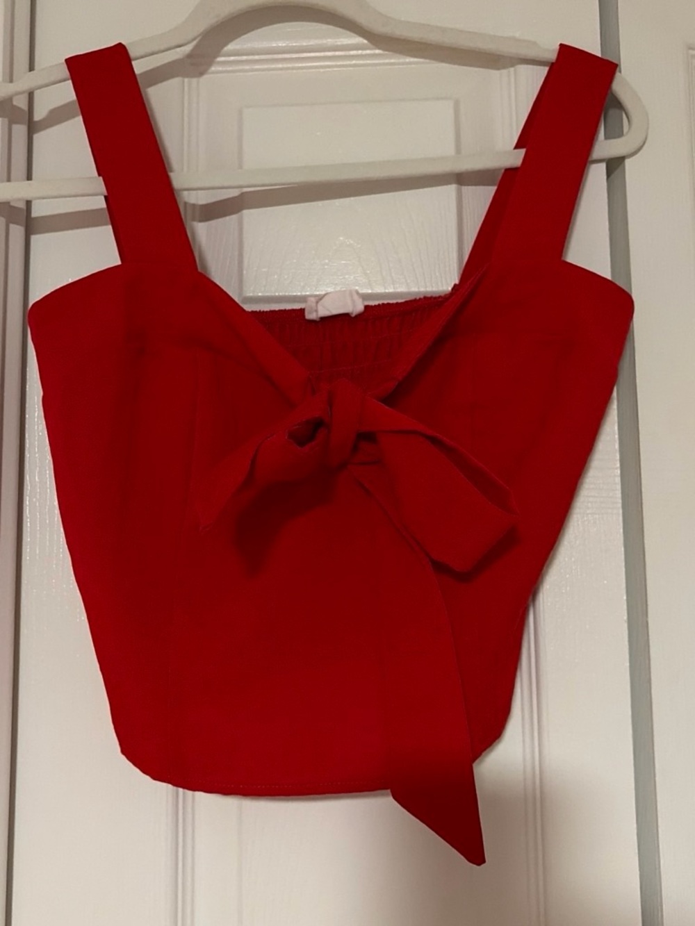 Sienna Sky Red Tie-Front Crop Top